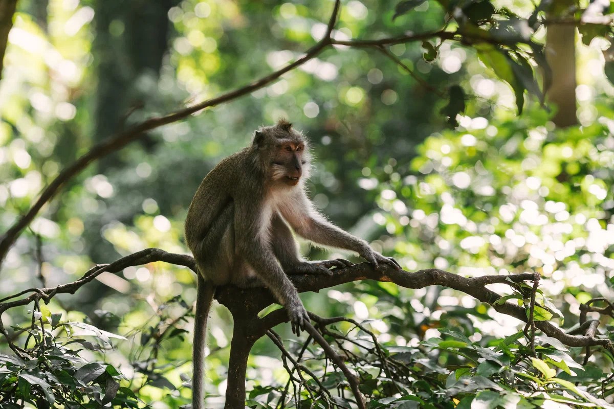 kto-mojet-videt-sny-1.jpg